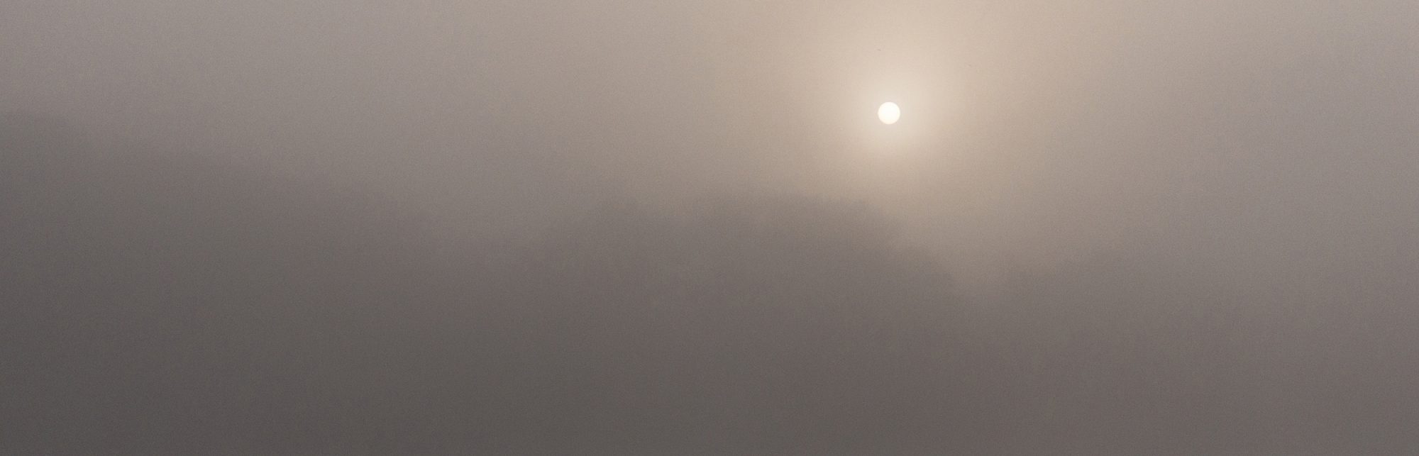 Monet Impressionné © Gilles Crampes